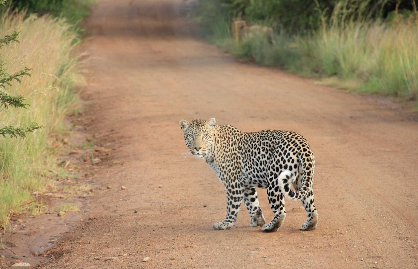 Team van tech professionals die samenwerken aan een project