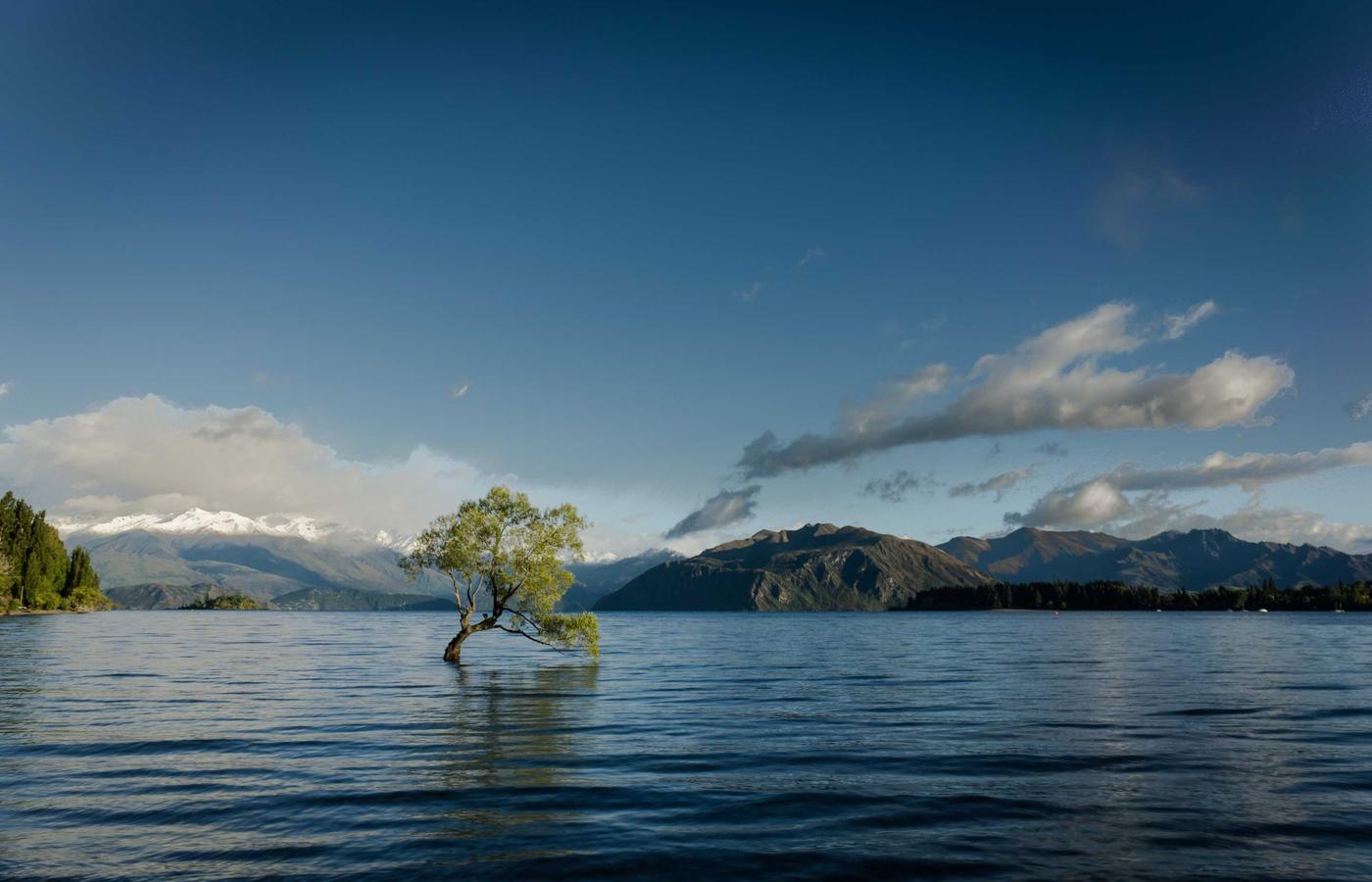 Groep professionals in een workshop